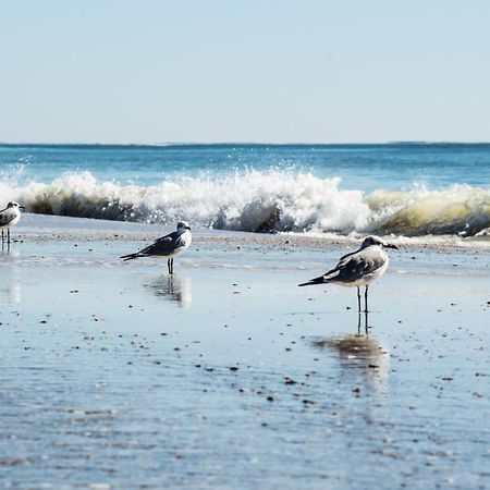 Direct Gulf Views With Deeded Beach Access Gulf Shores Eksteriør bilde